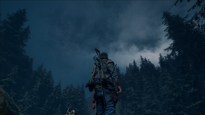 video games, gamers, Games posters, Days Gone