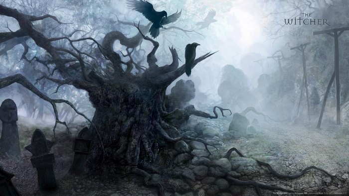 grave, The Witcher, mist