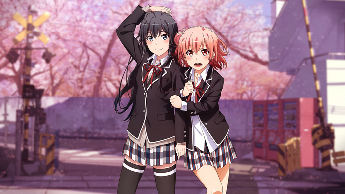 4K, Yahari Ore no Seishun Love Comedy wa Machigatteiru, zettai ryouiki, Yukinoshita Yukino, cherry blossom, anime, pink hair, anime girls, Yuigahama Yui, black hair