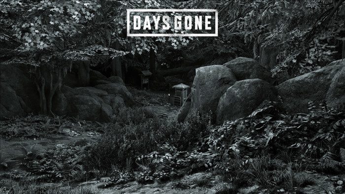 video games, screen shot, Days Gone