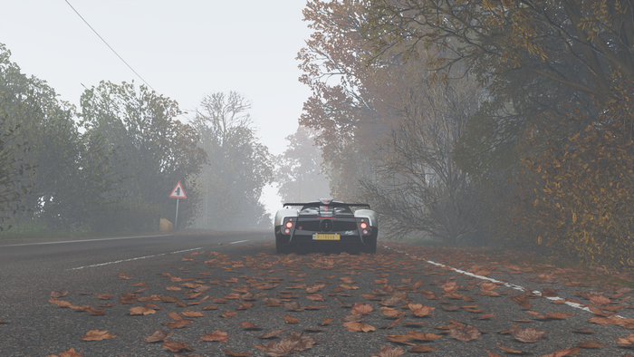 fallen leaves, video games, car, Pagani, Forza Horizon 4, vehicle, Pagani Zonda Cinque