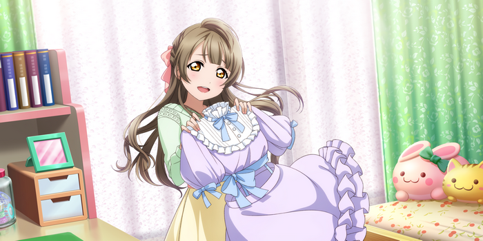 Minami Kotori, Love Live Series, Love Live!
