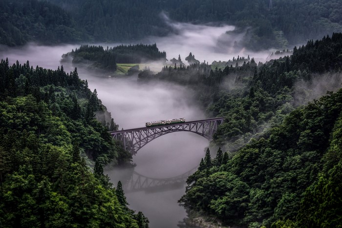 4K, bridge, nature, train, mist, trees