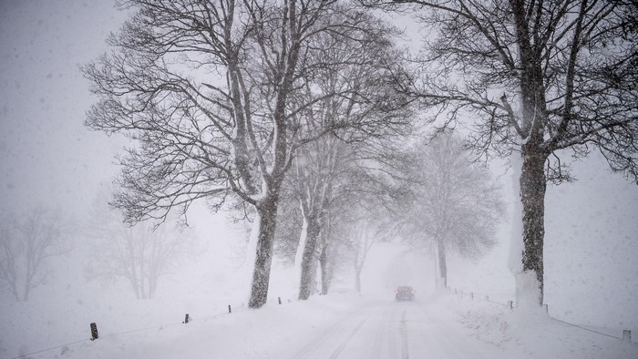 winter, car, nature, snow, trees, storm, landscape, road