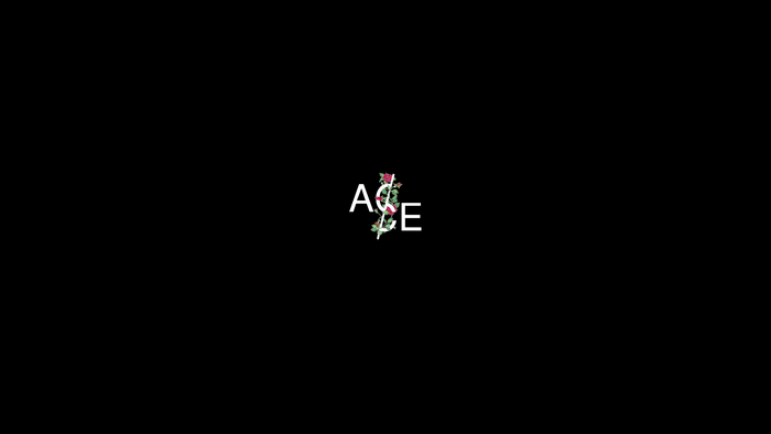 ace attorney, minimalism, black, Apex Legends
