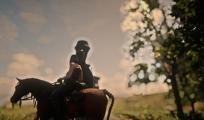 Red Dead Redemption 2, train, Online games, red corset, horse
