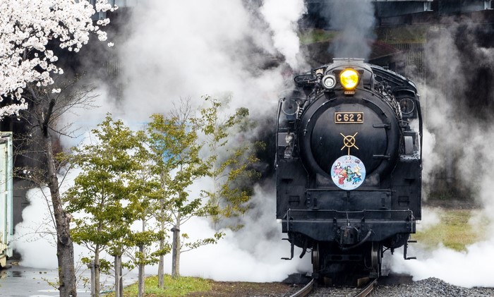 steam locomotive, Steam Train, Japan, vehicle, numbers, train