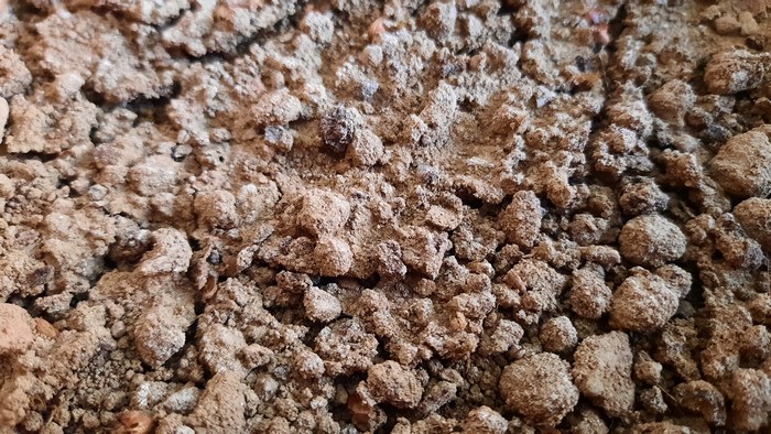 4K, nature, ground, dirt, closeup, mud