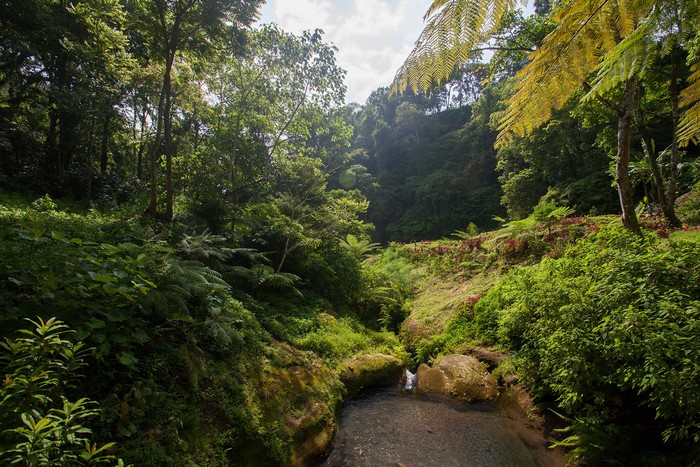 Indonesia, waterfall, landscape