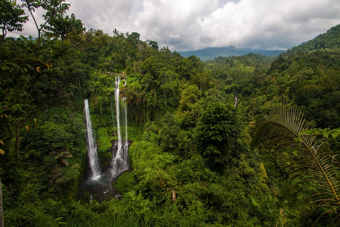 landscape, nature, waterfall, trees, Indonesia, Asia, plants, jungle