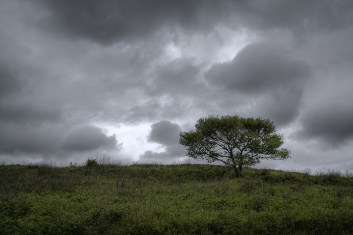 4K, landscape, trees, Russia, nature