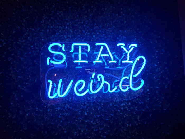 Blue Neon Sign Stay Weird