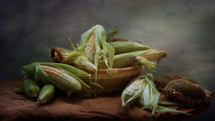 still life, corn, food