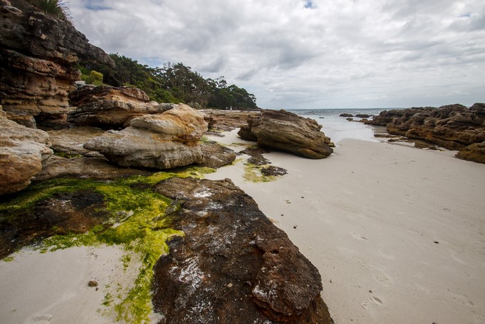 Coastline and Sea Landscape in Australia