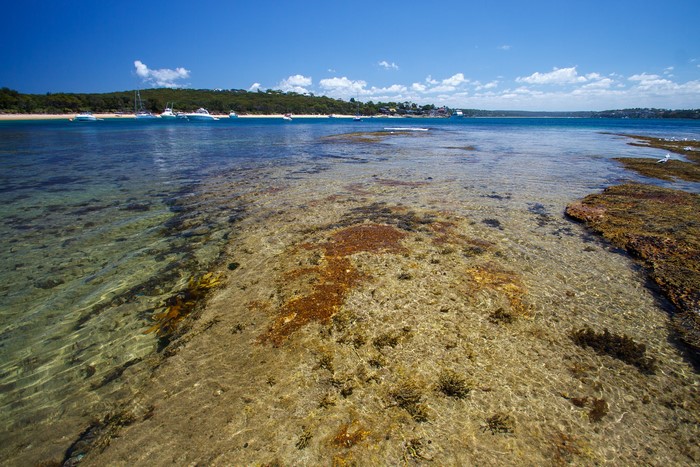 landscape, Australia, nature, sea, outdoors