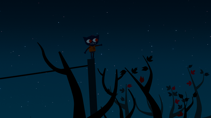 cats, night, nature, leaves, night in the woods, stars, branch