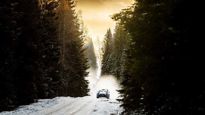 trees, car, M-Sport, Sweden, 2020 (Year), Motorsport, vehicle, motorsports, wrc, Rally, Ford Fiesta RS WRC, snow, racing