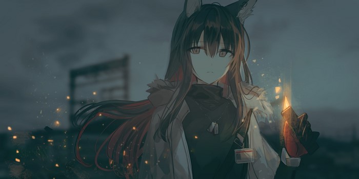 4K, anime, Chihuri 45, Arknights, animal ears, anime girls