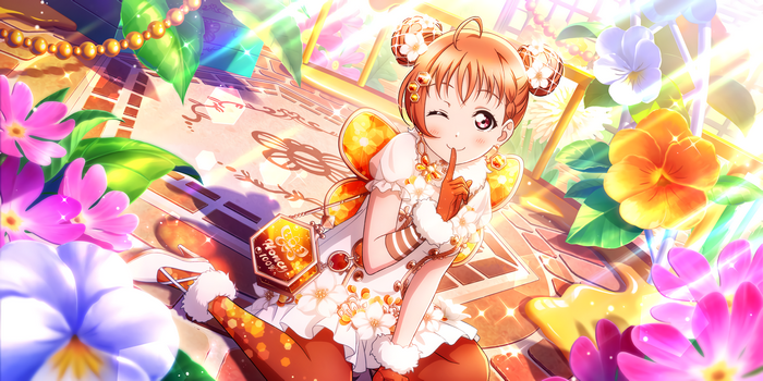 Takami Chika, Love Live! Sunshine, Love Live!, Love Live Series
