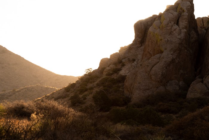 4K, deer, landscape, sunrise