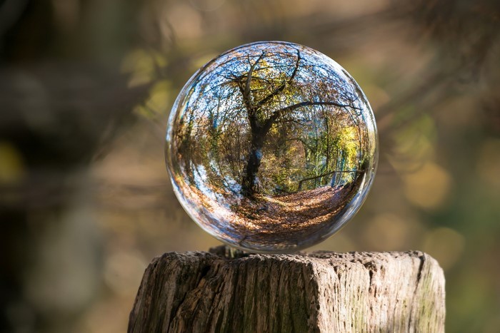 sphere, trees, nature
