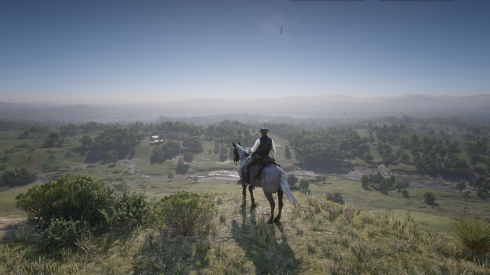 Red Dead Redemption 2, Rockstar Games