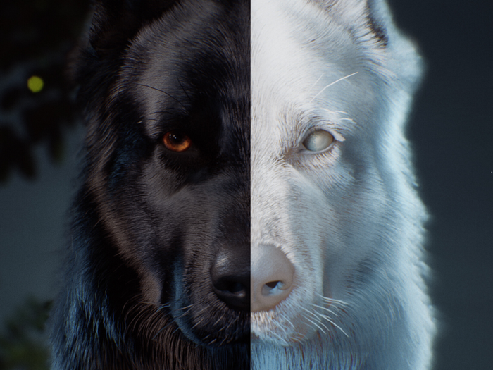 wolf, artwork, animals, mammals, dog