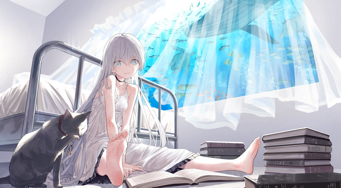 cyan, cats, barefoot, blue eyes, window, feet, books, dress, room, silver hair, Bionekojita, anime girls