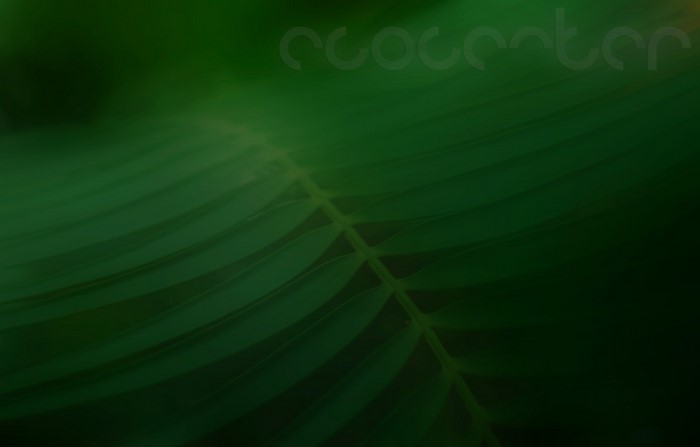 eco, landscape, blurred, plants, nature, green, text