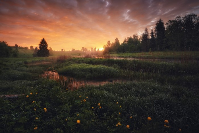 landscape, clouds, photography, sunset, water, outdoors, field, Anton Kononov, Антон Кононов, nature, trees, flowers