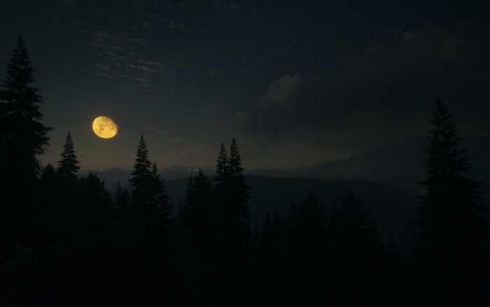 dark, Moon, hunter, trees, Moon Castle