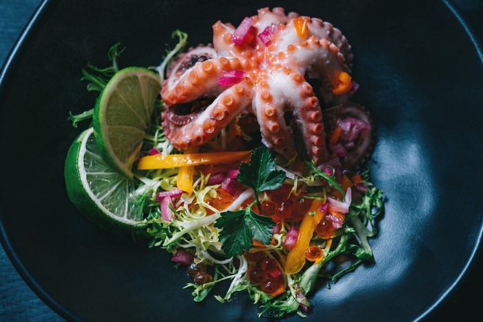 octopus, limes, seafood, salad, food