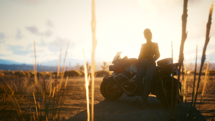 Cyberpunk 2077, sunlight, Panam Palmer, CD Projekt RED, Panam