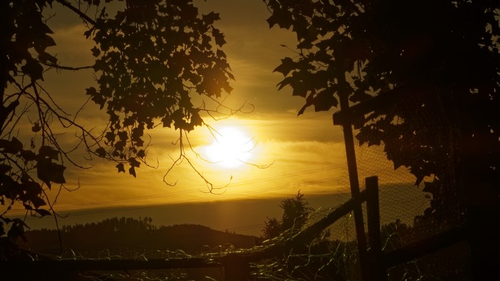 4K, outdoors, sun rays, fence, sunlight