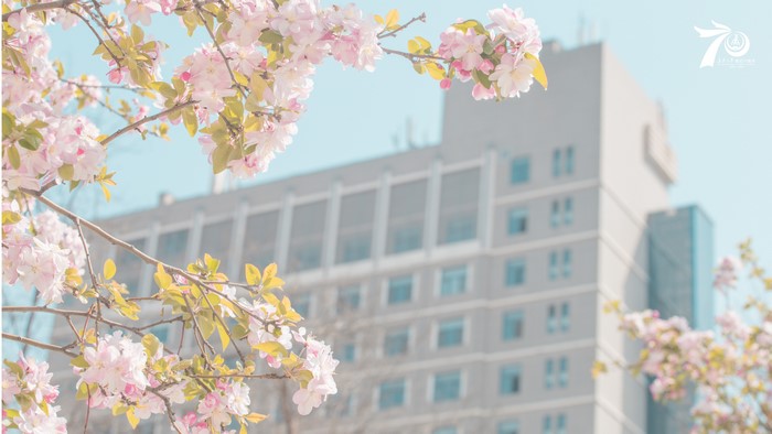 4K, Asia, China, The university campus, communism