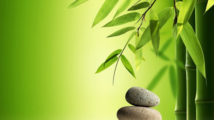 Peaceful Bamboo and Stones in 4K