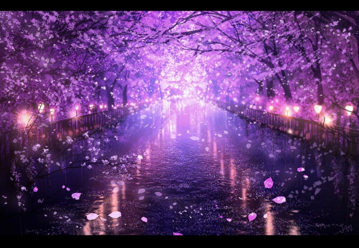 Sakura Trees Illuminated by Night Lights