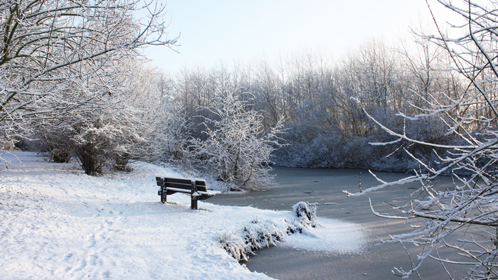 4K, winter, snow, bench, nature, cold