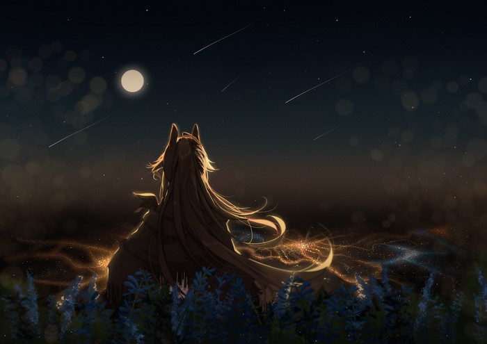 flowers, animal eyes, blonde, sky, Moon, long hair, city lights, grass, anime girls, meteorite, anime, Firewatch(Arknights), scarf, Arknights, stars, starfall