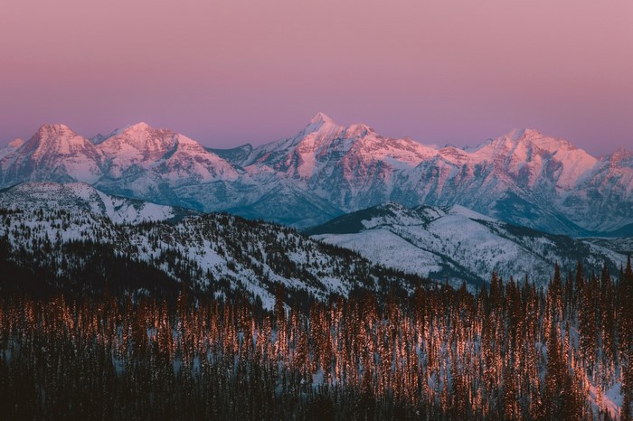 snowy mountain, winter, snow, landscape, nature, forest, mountains, pine trees