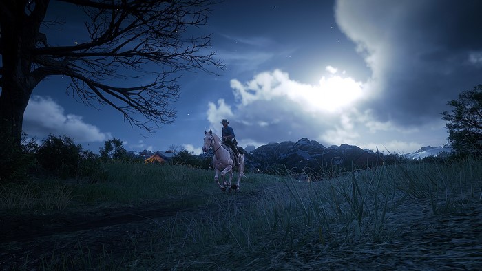Red Dead Redemption 2, video games, PC gaming
