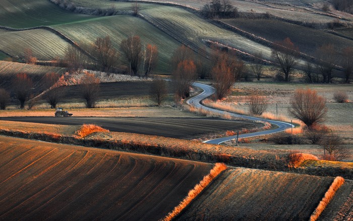 farm, tractors, road, trees, outdoors, photography, field, nature, landscape