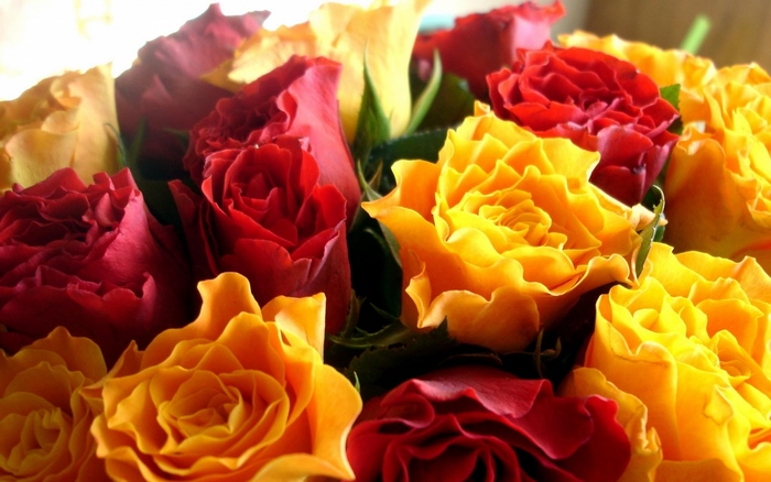 Red and Yellow Roses Bouquet