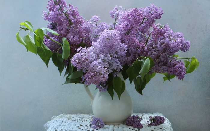 nature, flowers, still life, plants, lilac, vases, flowerpot, purple flower