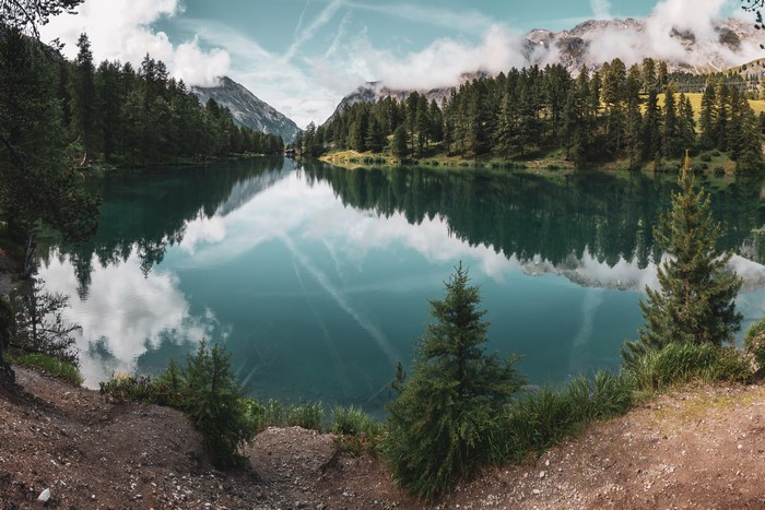 nature, lake, forest, chemtrails, water, landscape