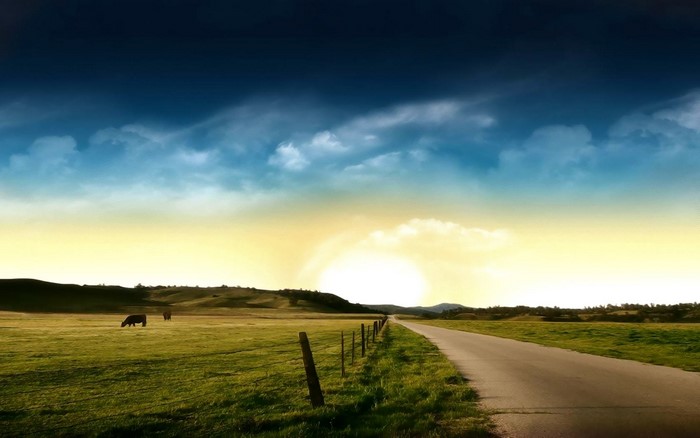 field, landscape, plants, fence, road, clouds, sky, outdoors