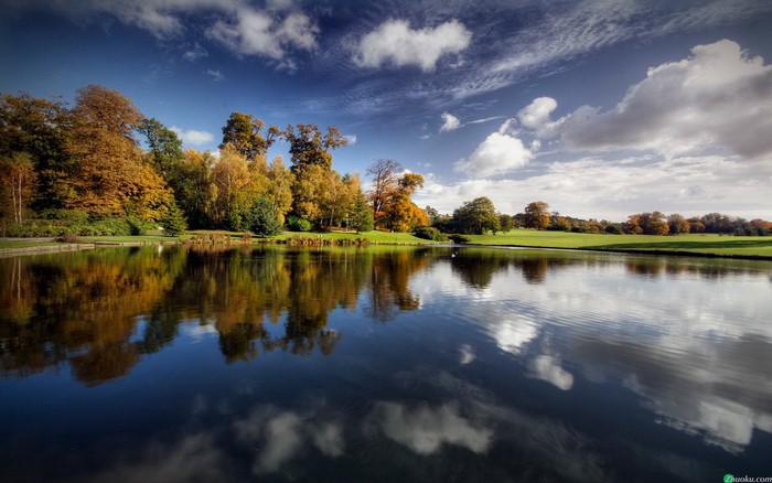 watermarked, plants, landscape