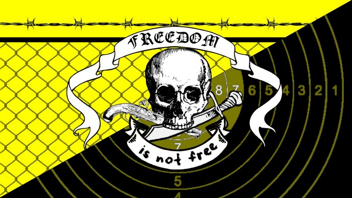 Anarchy, skull, Private Property, freedom, black, Pirate Flag, liberty, libertarianism, yellow, capitalism, bones, ANCAP, Guns and Men