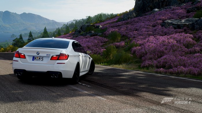 BMW, Forza Horizon 4, white