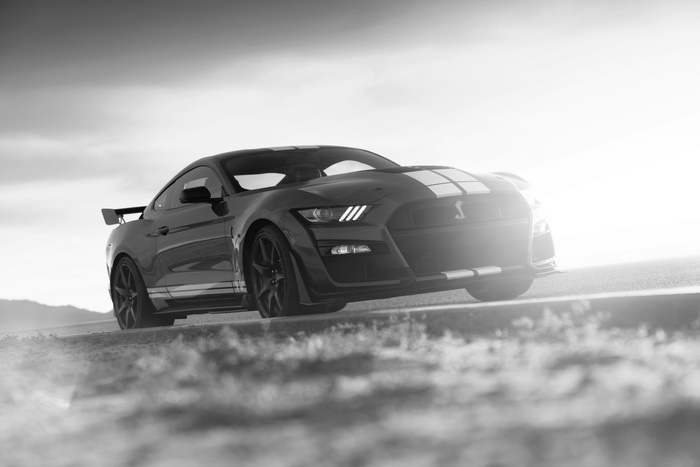 Ford Mustang Shelby GT500 Black and White